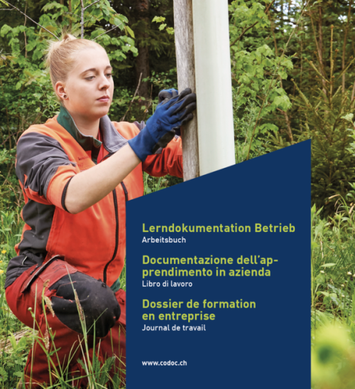 Dossier de formation en entreprise - Cahier de travail (1 classeur)