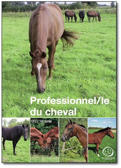 Professionnel-le du cheval - CFC - 1re année