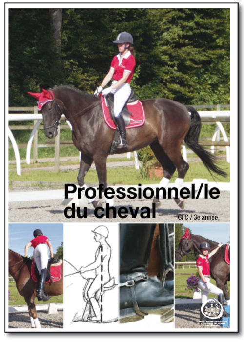 Professionnel-le du cheval - CFC 3e année
