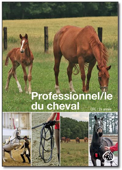 Professionnel-le du cheval - CFC - 2è année