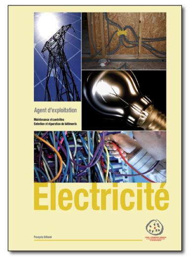 Agent d'exploitation - Électricité, Maintenance et contrôles, Entretien et réparation de bâtiment